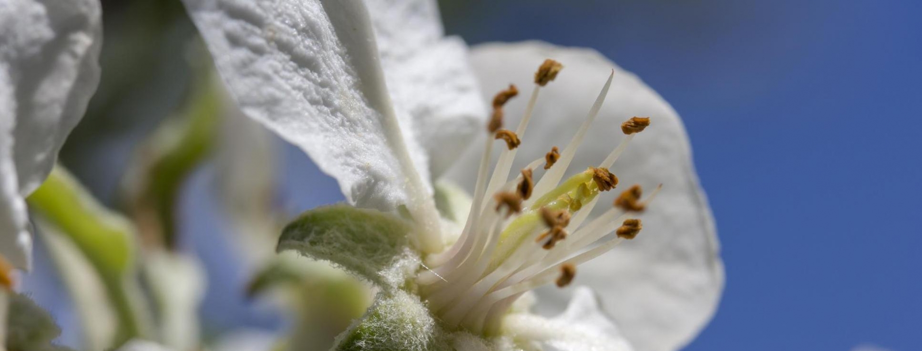 kulmlandcom--article-2325-2.jpeg; Marvin Sailer