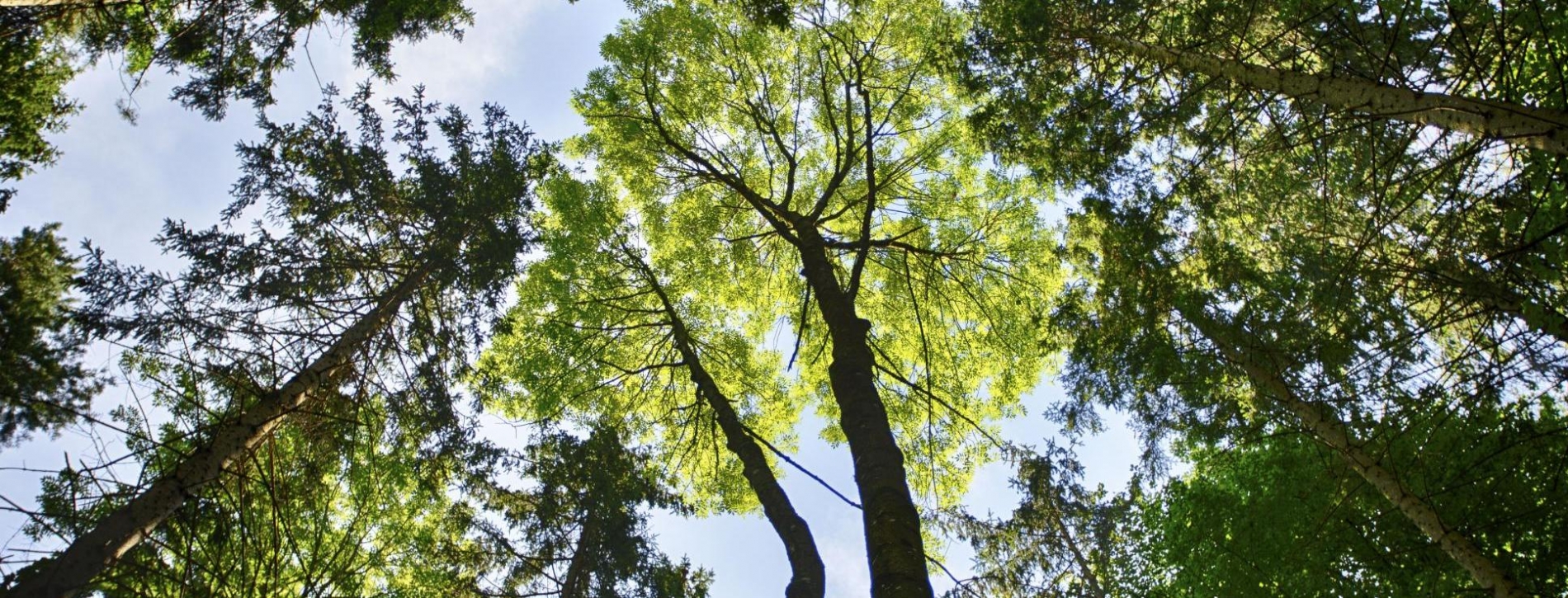 kulmlandcom--article-2325-5.jpeg; Marvin Sailer