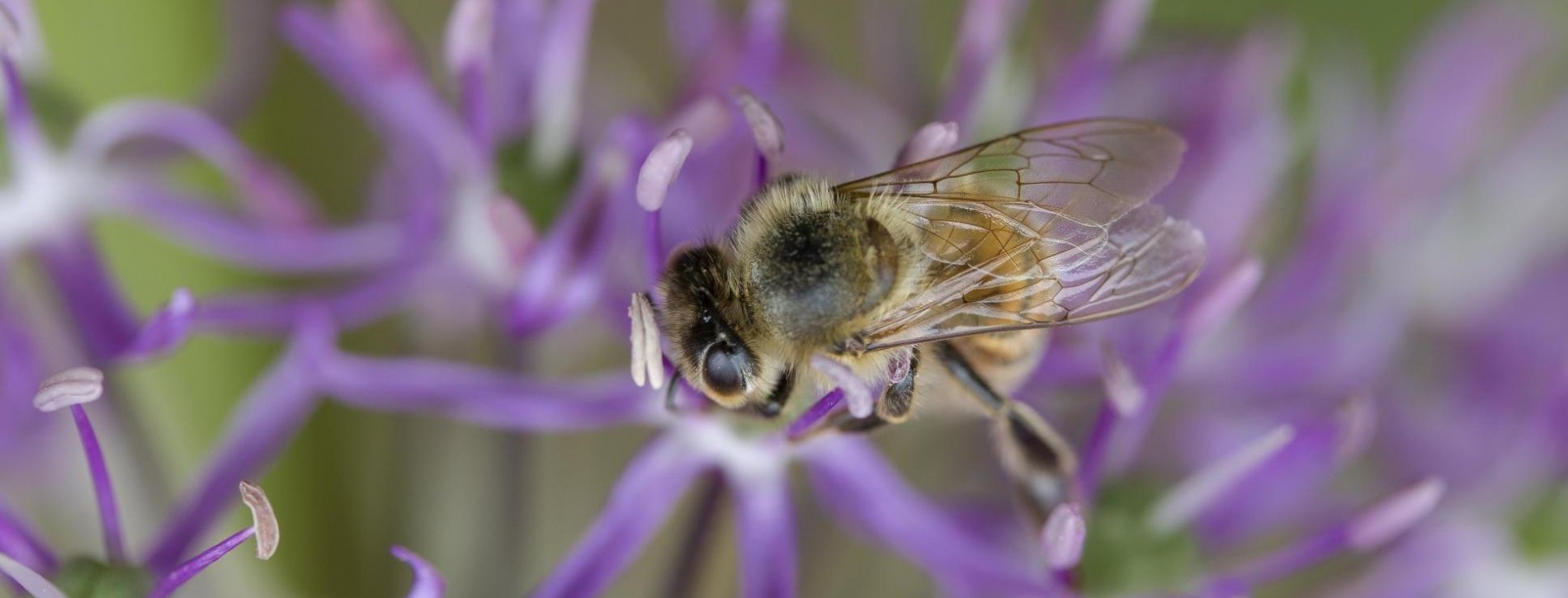 kulmlandcom--article-2325-7.jpeg; Marvin Sailer