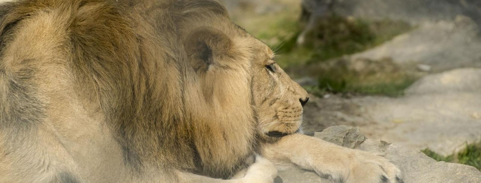 kulmlandcom--article-2325-9.jpeg; Marvin Sailer